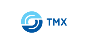 «Трансмашхолдинг»